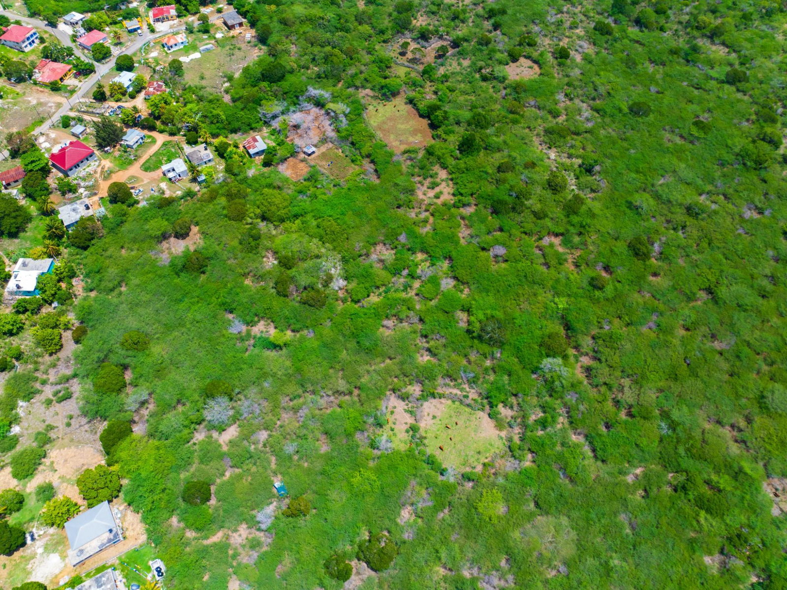 Seventh image of Jenny Pond in Treasure Beach, St. Elizabeth, Jamaica - property is For Sale