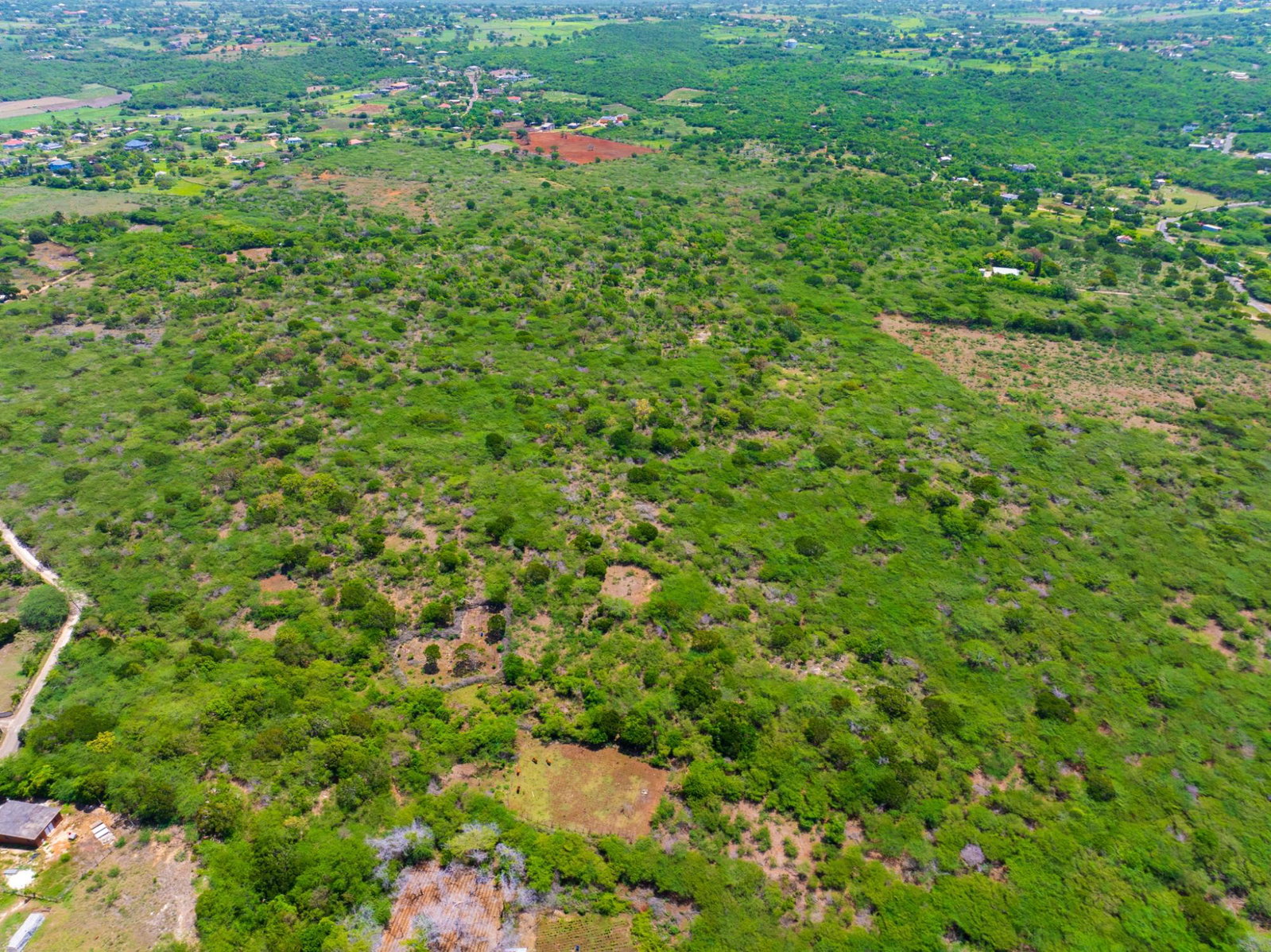 Eighth image of Jenny Pond in Treasure Beach, St. Elizabeth, Jamaica - property is For Sale