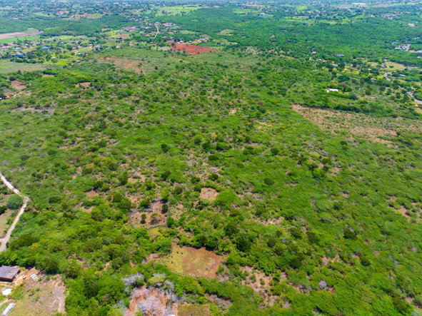 Eighth image of Jenny Pond in Treasure Beach, St. Elizabeth, Jamaica - property is For Sale