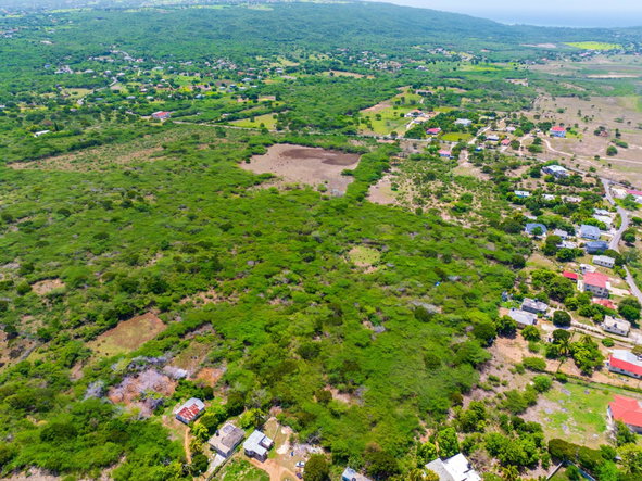 Tenth image of Jenny Pond in Treasure Beach, St. Elizabeth, Jamaica - property is For Sale