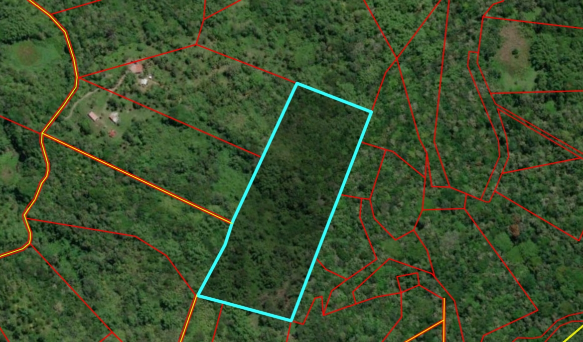 Fifth image of Lot 5 Crawle Estate in Kilancholly, St. Mary, Jamaica - property is For Sale