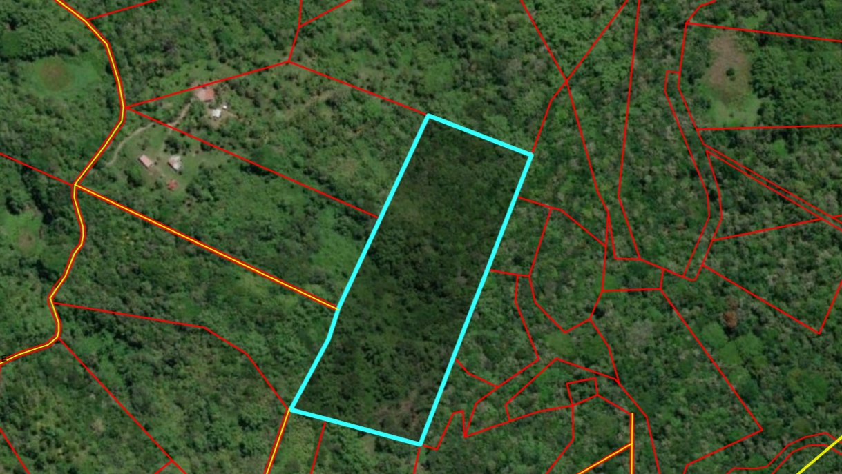 Fifth image of Lot 5 Crawle Estate in Kilancholly, St. Mary, Jamaica - property is For Sale