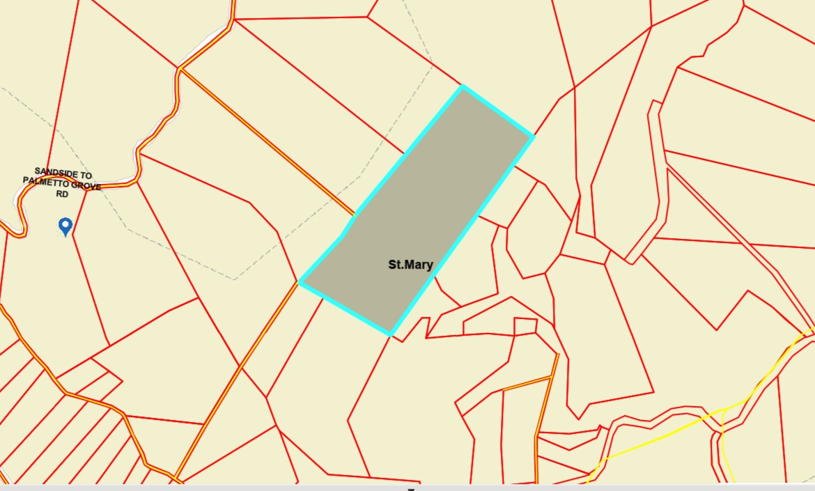 Seventh image of Lot 5 Crawle Estate in Kilancholly, St. Mary, Jamaica - property is For Sale