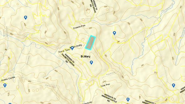 Ninth image of Lot 5 Crawle Estate in Kilancholly, St. Mary, Jamaica - property is For Sale