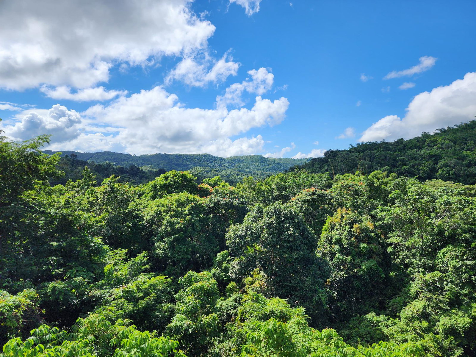 First image of Lot 5 Crawle Estate in Kilancholly, St. Mary, Jamaica - property is For Sale