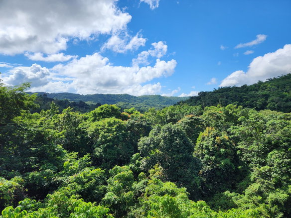First image of Lot 5 Crawle Estate in Kilancholly, St. Mary, Jamaica - property is For Sale