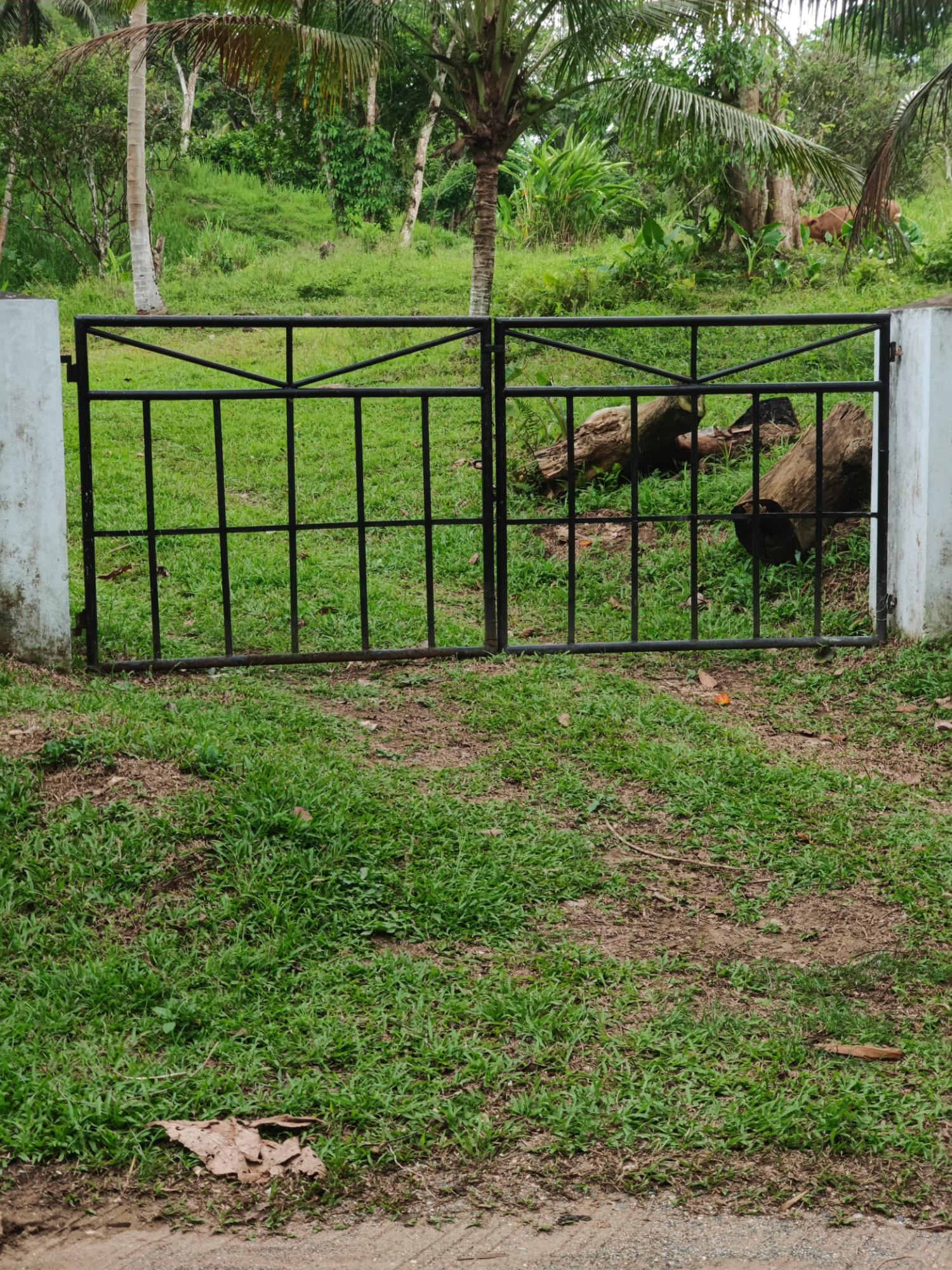 Second image of Carew Castle in Bog Walk, St. Catherine, Jamaica - property is For Sale