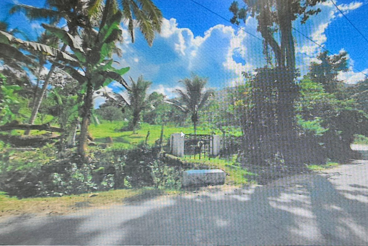 First image of Carew Castle in Bog Walk, St. Catherine, Jamaica - property is For Sale