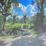 First image of Carew Castle in Bog Walk, St. Catherine, Jamaica - property is For Sale