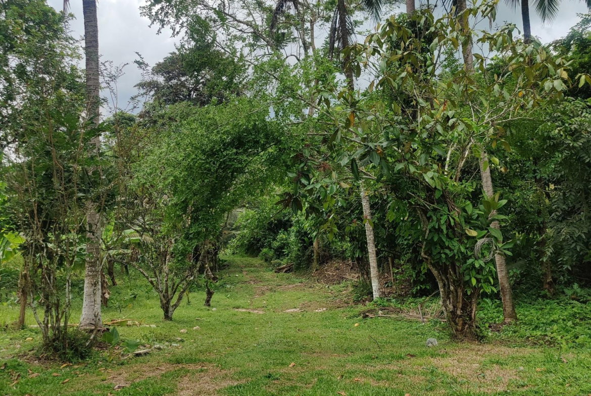 Third image of Carew Castle in Bog Walk, St. Catherine, Jamaica - property is For Sale