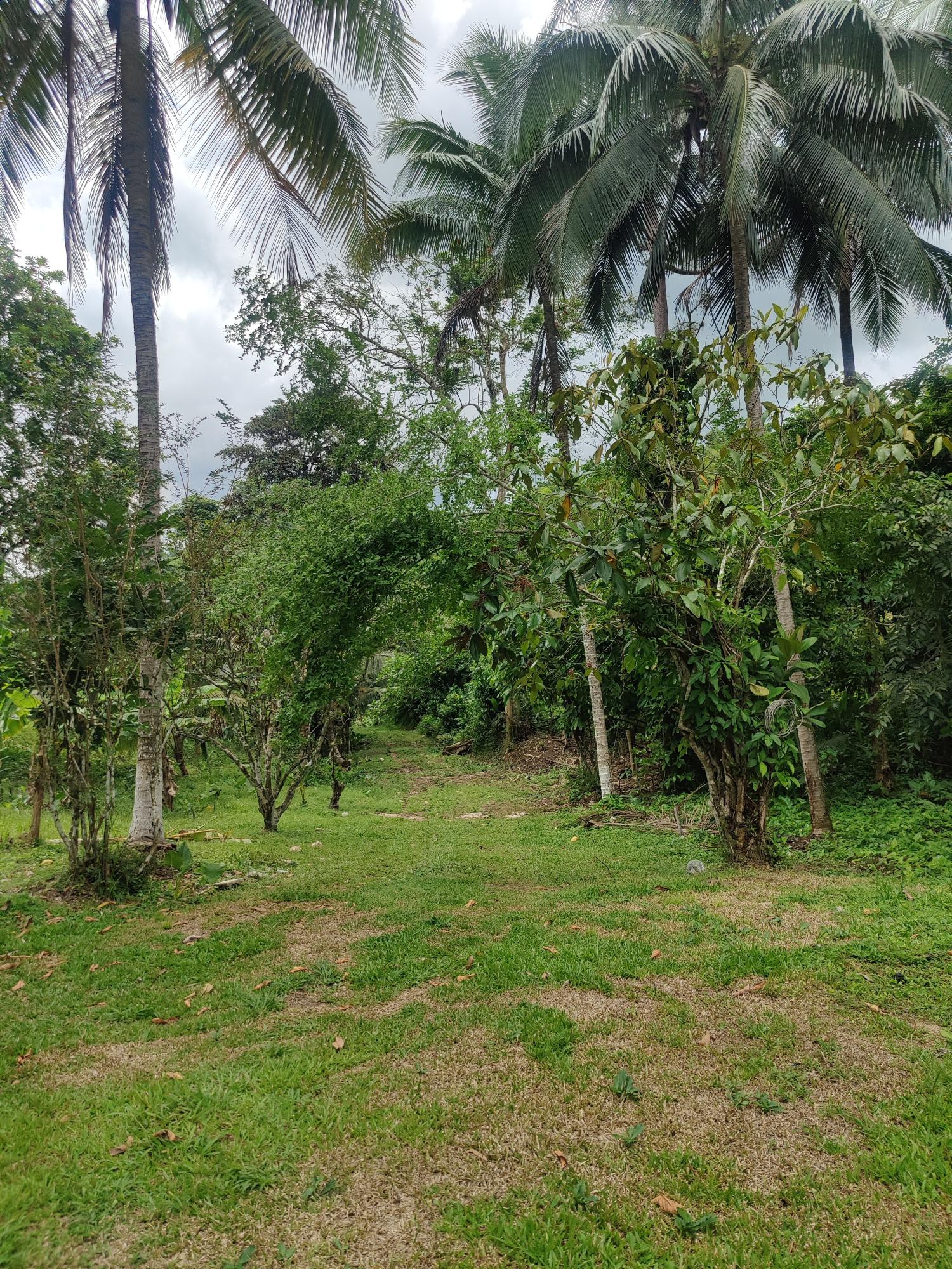 Third image of Carew Castle in Bog Walk, St. Catherine, Jamaica - property is For Sale