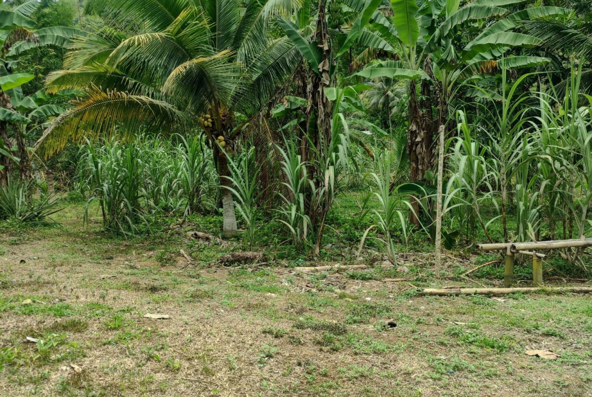 Fourth image of Carew Castle in Bog Walk, St. Catherine, Jamaica - property is For Sale