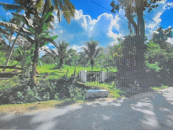 First image of Carew Castle in Bog Walk, St. Catherine, Jamaica - property is For Sale