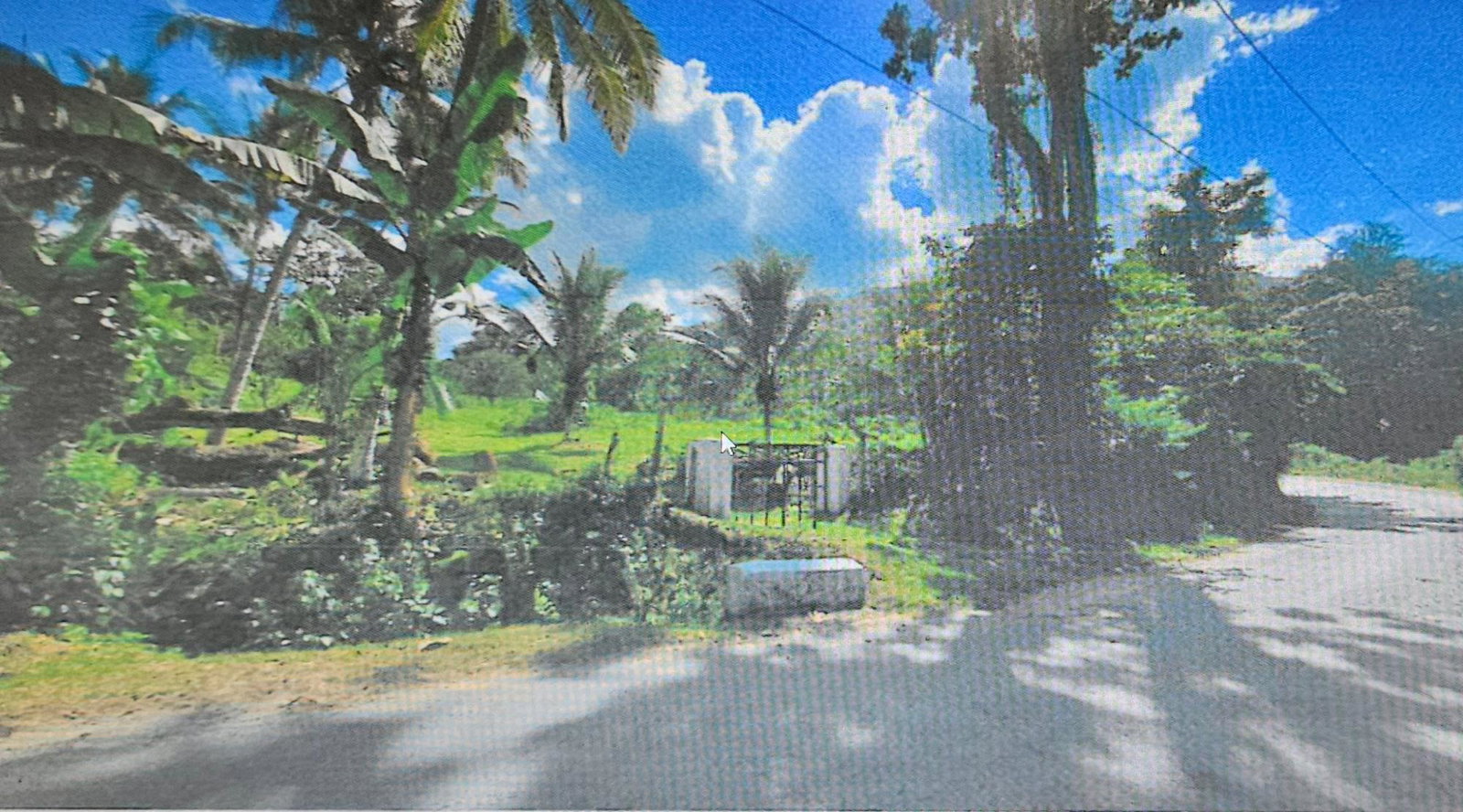 First image of Carew Castle in Bog Walk, St. Catherine, Jamaica - property is For Sale