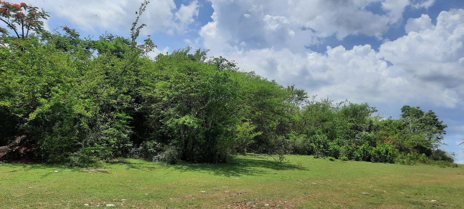 Second image of Lot 5-1 And 2 Sevens Plantation in May Pen, Clarendon, Jamaica - property is For Sale