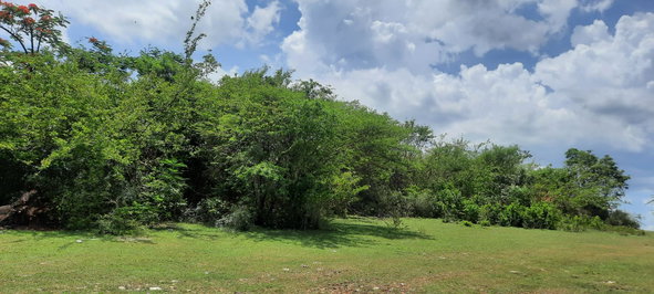 Second image of Lot 5-1 And 2 Sevens Plantation in May Pen, Clarendon, Jamaica - property is For Sale