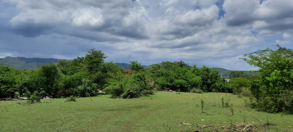 Third image of Lot 5-1 And 2 Sevens Plantation in May Pen, Clarendon, Jamaica - property is For Sale