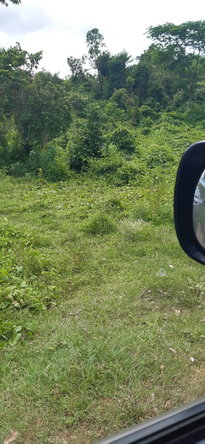 Fourth image of Lot 5-1 And 2 Sevens Plantation in May Pen, Clarendon, Jamaica - property is For Sale