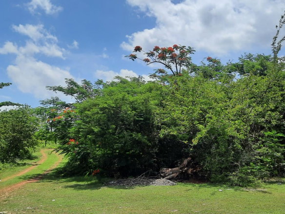 First image of Lot 5-1 And 2 Sevens Plantation in May Pen, Clarendon, Jamaica - property is For Sale