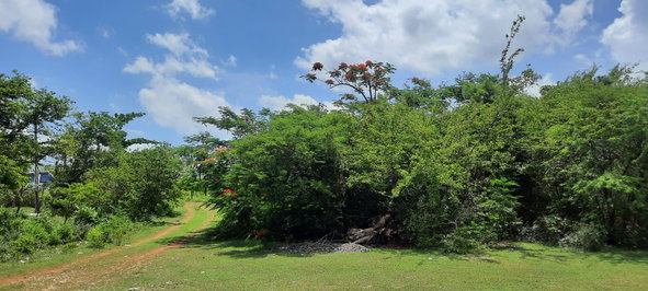 First image of Lot 5-1 And 2 Sevens Plantation in May Pen, Clarendon, Jamaica - property is For Sale