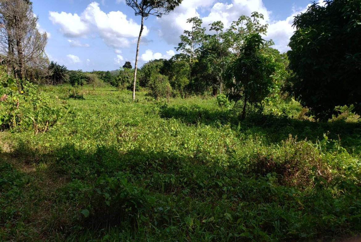 Second image of ab & c The Rhine, Bath in Bath, St. Thomas, Jamaica - property is For Sale