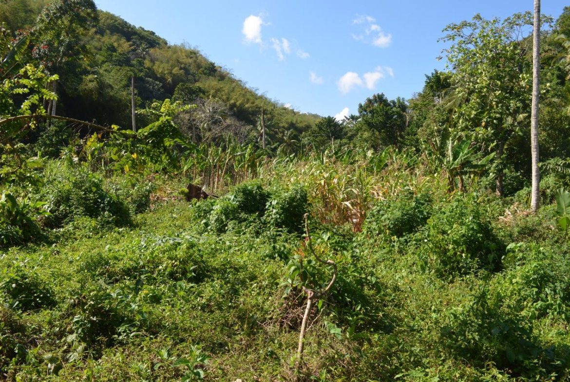 Eleventh image of ab & c The Rhine, Bath in Bath, St. Thomas, Jamaica - property is For Sale