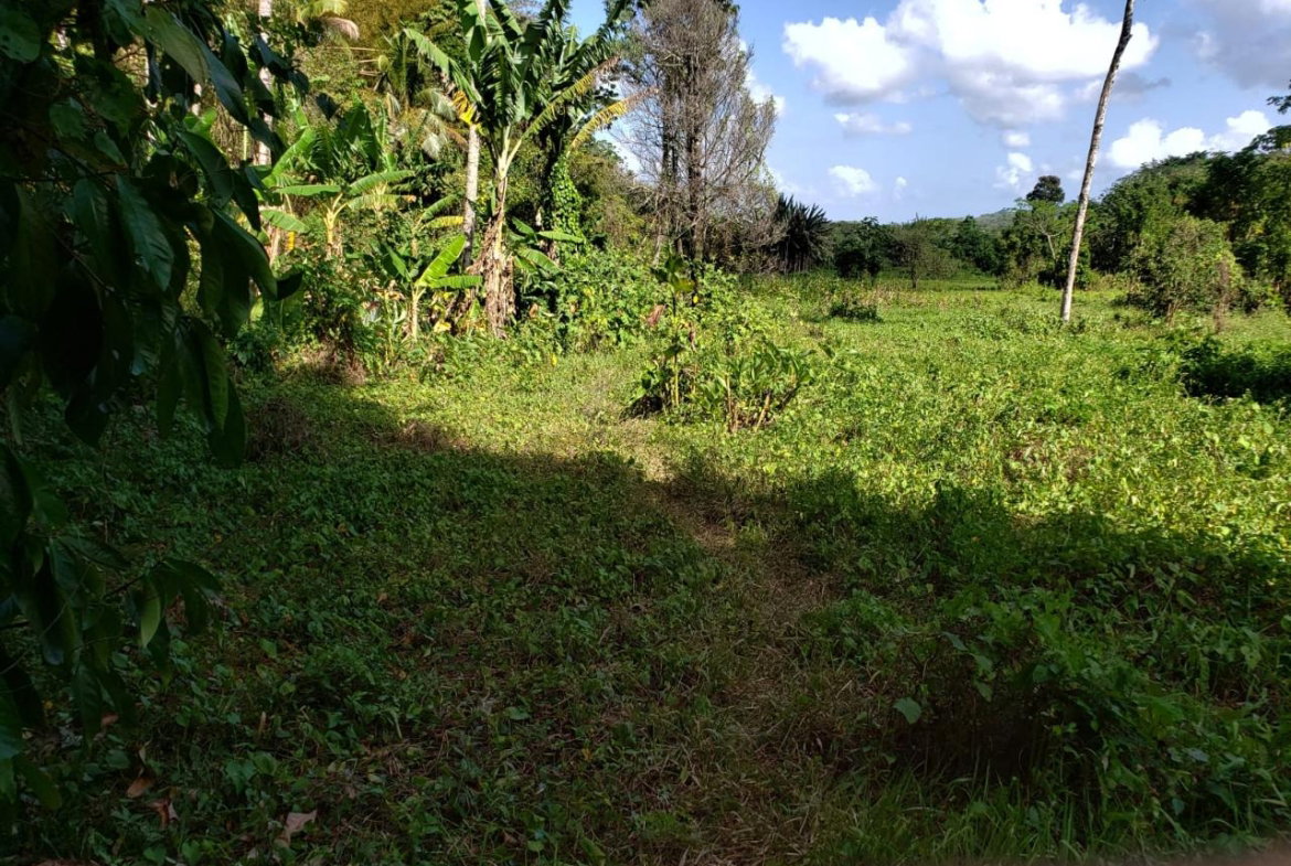 First image of ab & c The Rhine, Bath in Bath, St. Thomas, Jamaica - property is For Sale