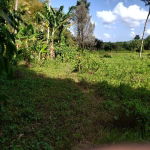 First image of ab & c The Rhine, Bath in Bath, St. Thomas, Jamaica - property is For Sale