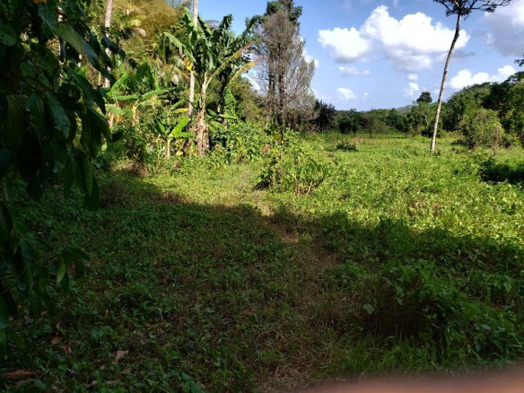 First image of ab & c The Rhine, Bath in Bath, St. Thomas, Jamaica - property is For Sale