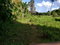First image of ab & c The Rhine, Bath in Bath, St. Thomas, Jamaica - property is For Sale