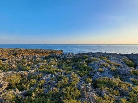 First image of Rockville Galina in Galina, St. Mary, Jamaica - property is For Sale