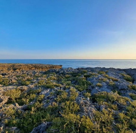 First image of Rockville Galina in Galina, St. Mary, Jamaica - property is For Sale