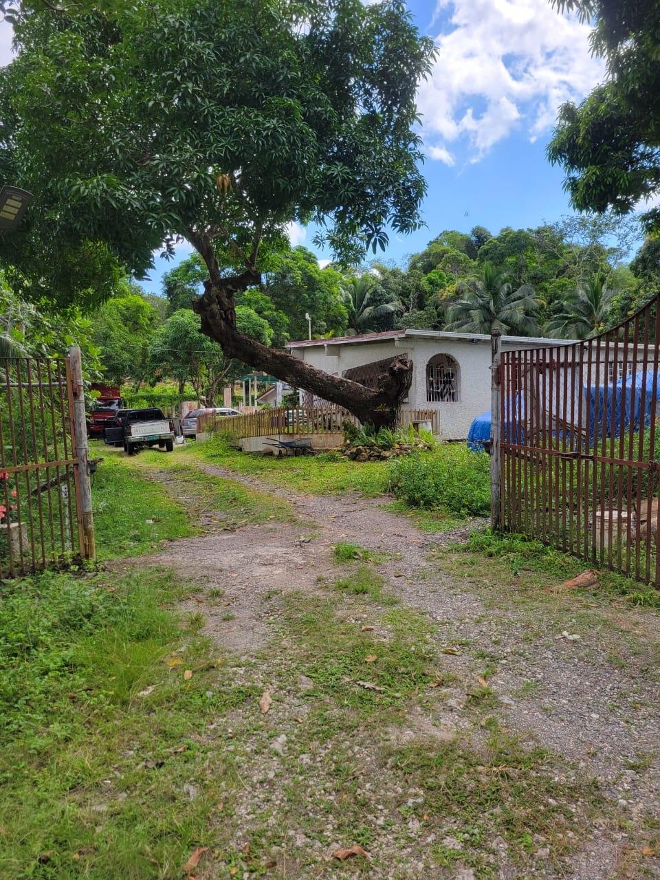 Third image of Lot # 14 Brimmer Hall, Port Maria, in Port Maria, St. Mary, Jamaica - property is For Sale