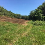 First image of Chippenham Park, Bamboo in Bamboo, St. Ann, Jamaica - property is For Sale