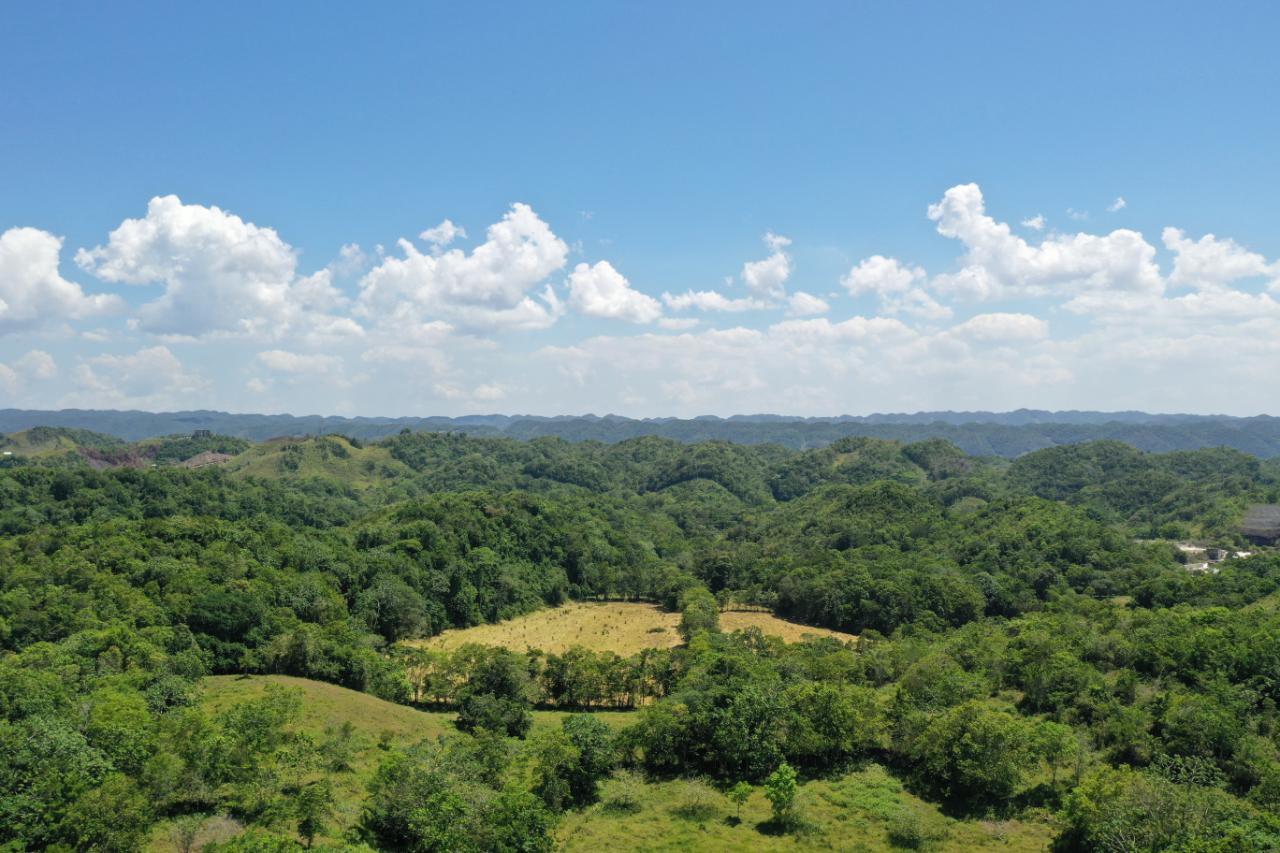14.2-Acre-Residential-Lot-for-Sale-in-St.-Ann-Jamaica Eighteenth image of Chippenham Park, Bamboo in Bamboo, St. Ann, Jamaica - property is For Sale