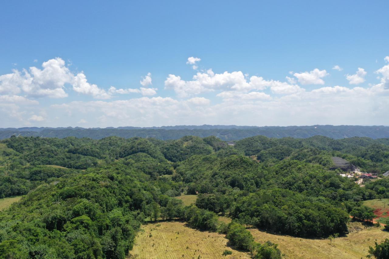 14.2-Acre-Residential-Lot-for-Sale-in-St.-Ann-Jamaica Twenty-First image of Chippenham Park, Bamboo in Bamboo, St. Ann, Jamaica - property is For Sale