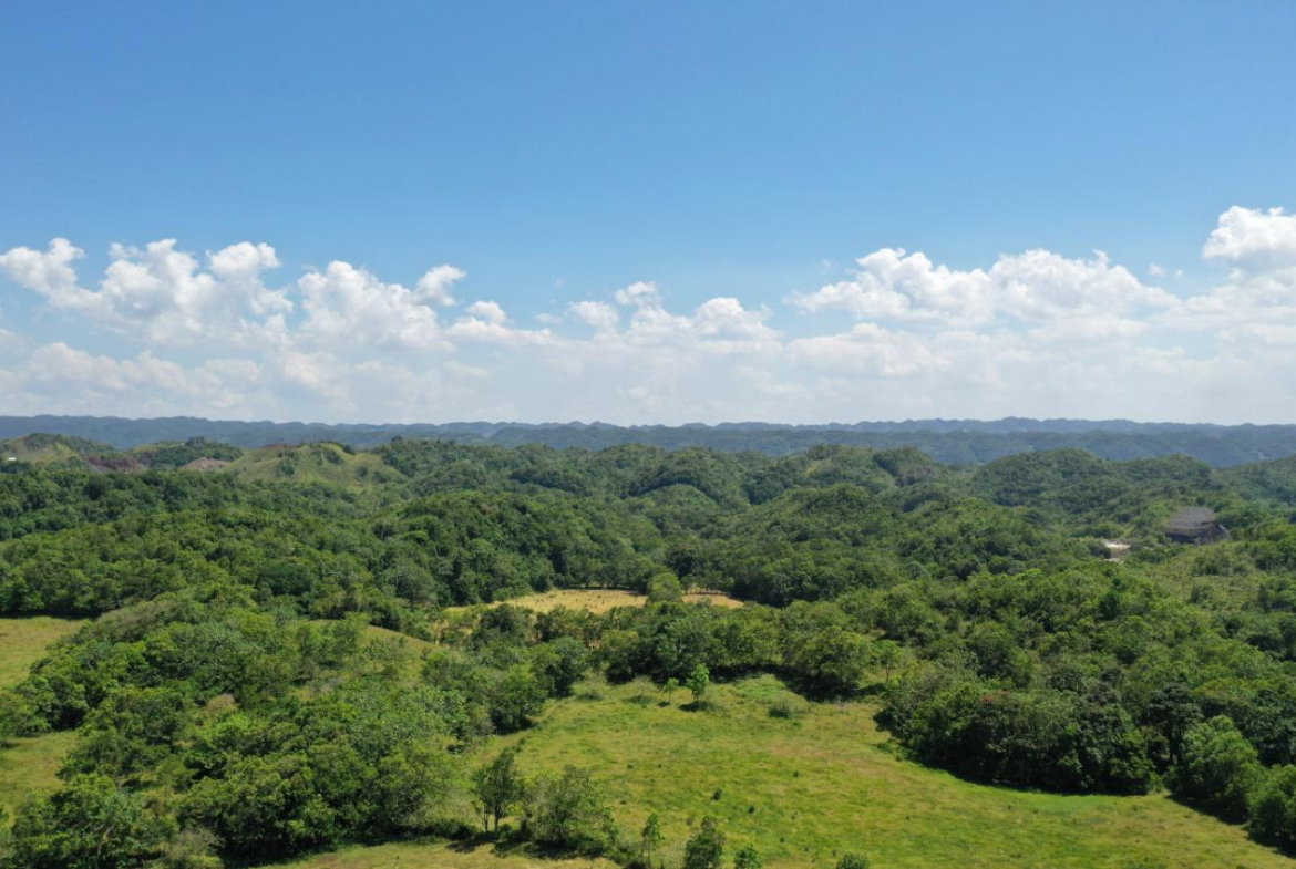 Twenty-Sixth image of Chippenham Park, Bamboo in Bamboo, St. Ann, Jamaica - property is For Sale