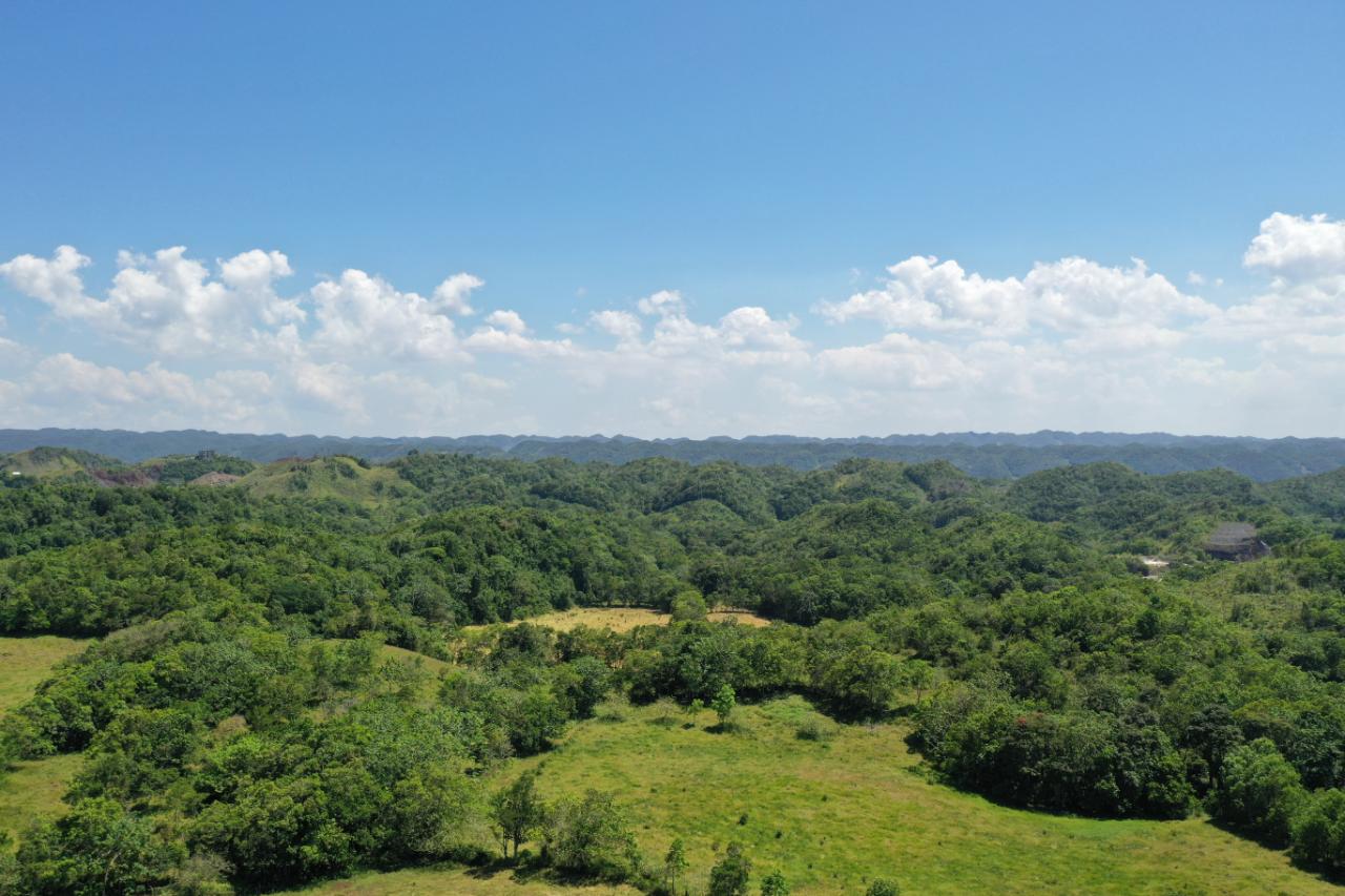 14.2-Acre-Residential-Lot-for-Sale-in-St.-Ann-Jamaica Twenty-Sixth image of Chippenham Park, Bamboo in Bamboo, St. Ann, Jamaica - property is For Sale
