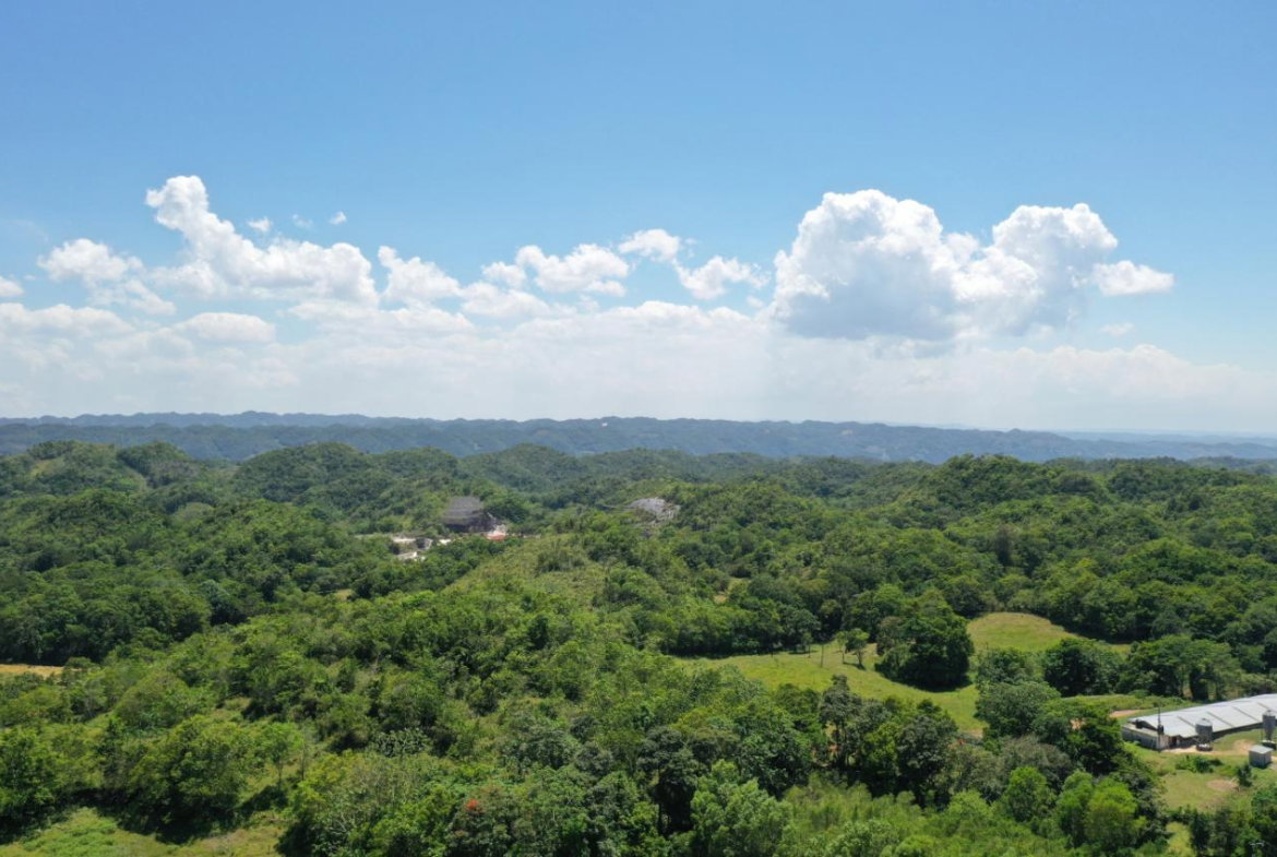 Fifth image of Chippenham Park, Bamboo in Bamboo, St. Ann, Jamaica - property is For Sale