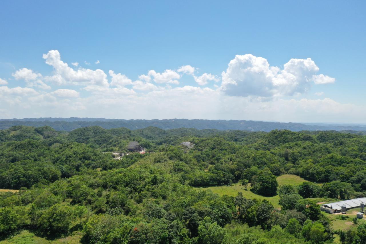 14.2-Acre-Residential-Lot-for-Sale-in-St.-Ann-Jamaica Fifth image of Chippenham Park, Bamboo in Bamboo, St. Ann, Jamaica - property is For Sale
