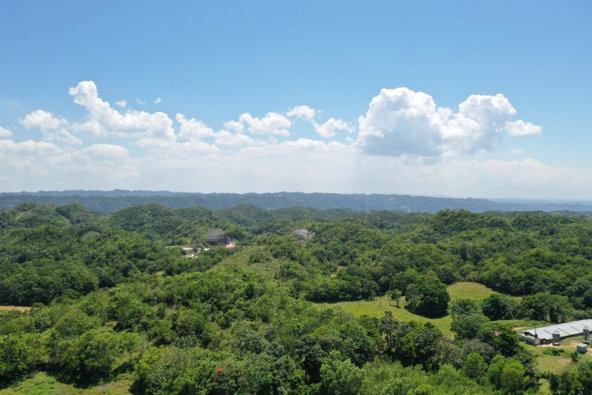 Fifth image of Chippenham Park, Bamboo in Bamboo, St. Ann, Jamaica - property is For Sale