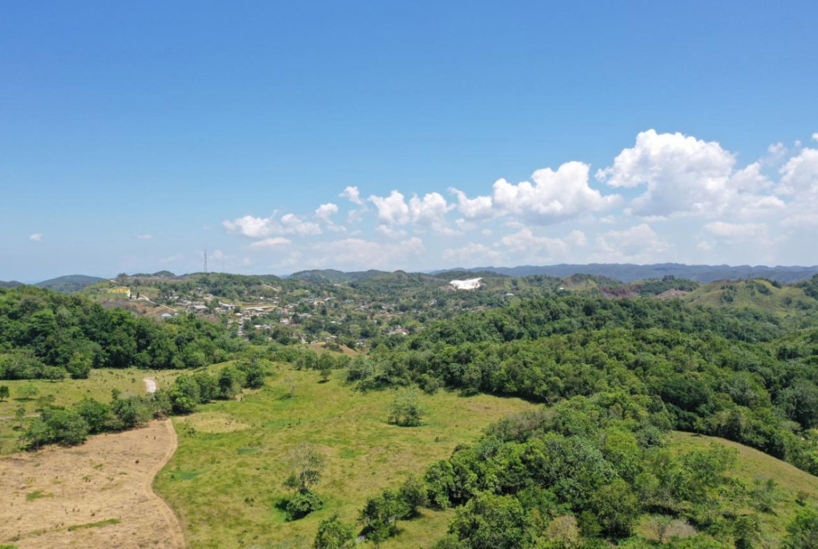Sixth image of Chippenham Park, Bamboo in Bamboo, St. Ann, Jamaica - property is For Sale