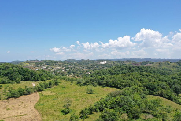 Sixth image of Chippenham Park, Bamboo in Bamboo, St. Ann, Jamaica - property is For Sale