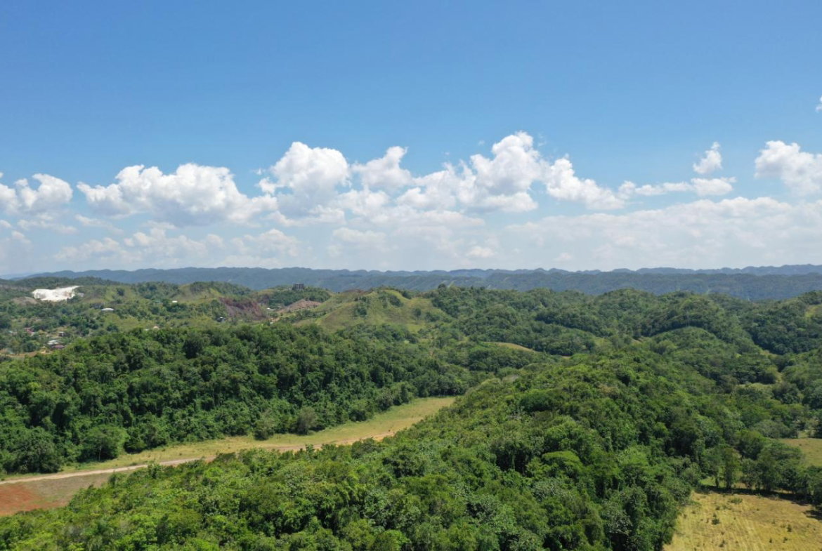 Eighth image of Chippenham Park, Bamboo in Bamboo, St. Ann, Jamaica - property is For Sale