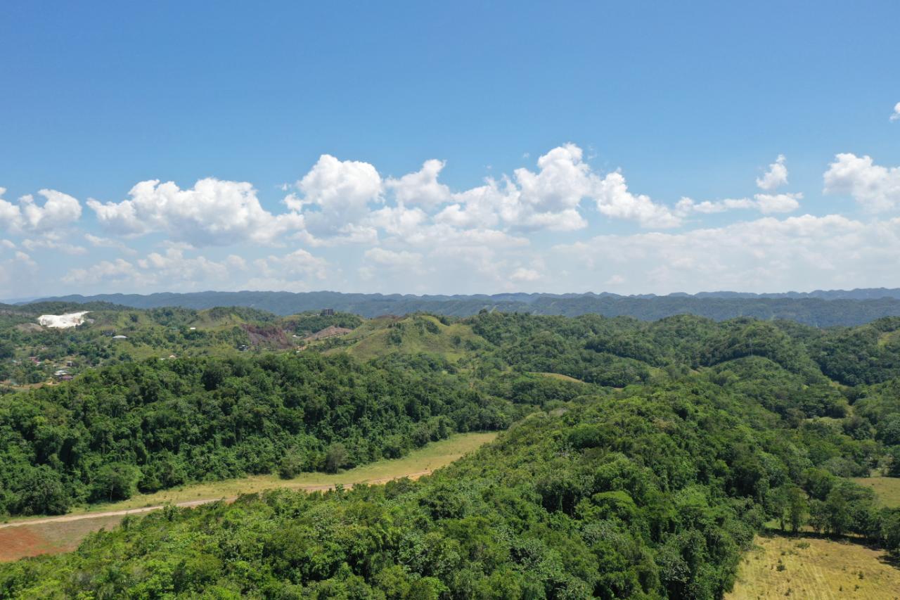 14.2-Acre-Residential-Lot-for-Sale-in-St.-Ann-Jamaica Eighth image of Chippenham Park, Bamboo in Bamboo, St. Ann, Jamaica - property is For Sale