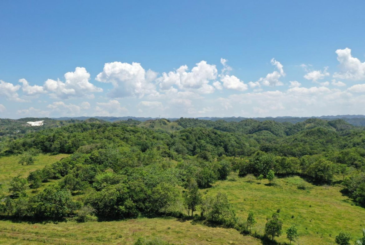 Tenth image of Chippenham Park, Bamboo in Bamboo, St. Ann, Jamaica - property is For Sale