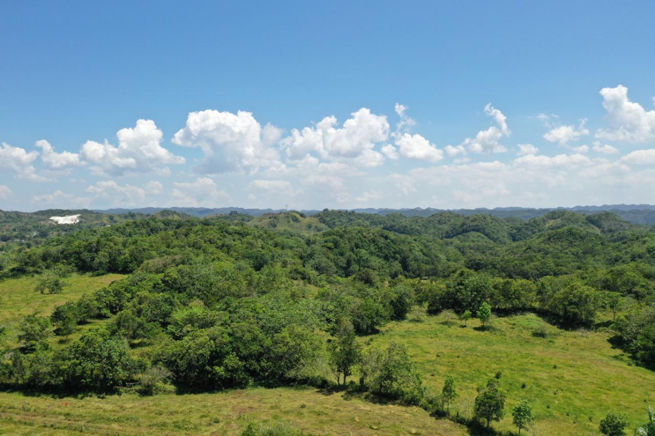 14.2-Acre-Residential-Lot-for-Sale-in-St.-Ann-Jamaica Tenth image of Chippenham Park, Bamboo in Bamboo, St. Ann, Jamaica - property is For Sale