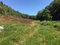 First image of Chippenham Park, Bamboo in Bamboo, St. Ann, Jamaica - property is For Sale