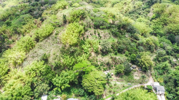 Second image of Peters Rock Road in Jacks Hill, St. Andrew, Jamaica - property is For Sale