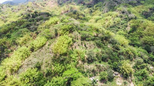 Eleventh image of Peters Rock Road in Jacks Hill, St. Andrew, Jamaica - property is For Sale